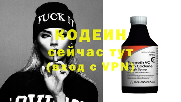 прущие грибы Пестово