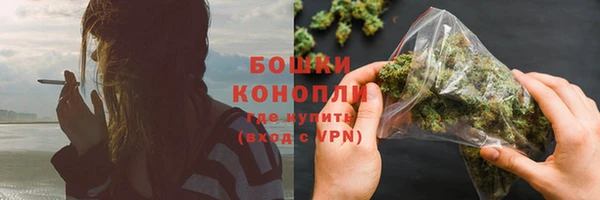 PSILOCYBIN Богородск