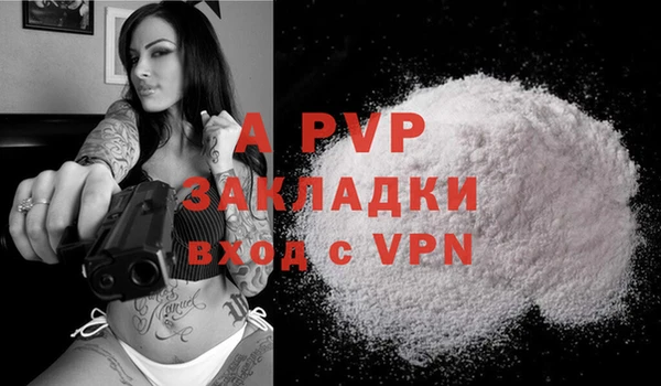 PSILOCYBIN Богородск