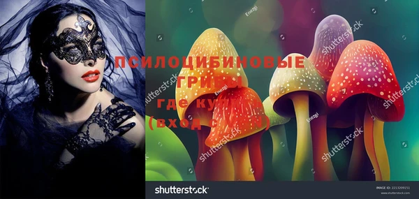 МДМА Богородицк